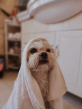 Quick Bath and Dry